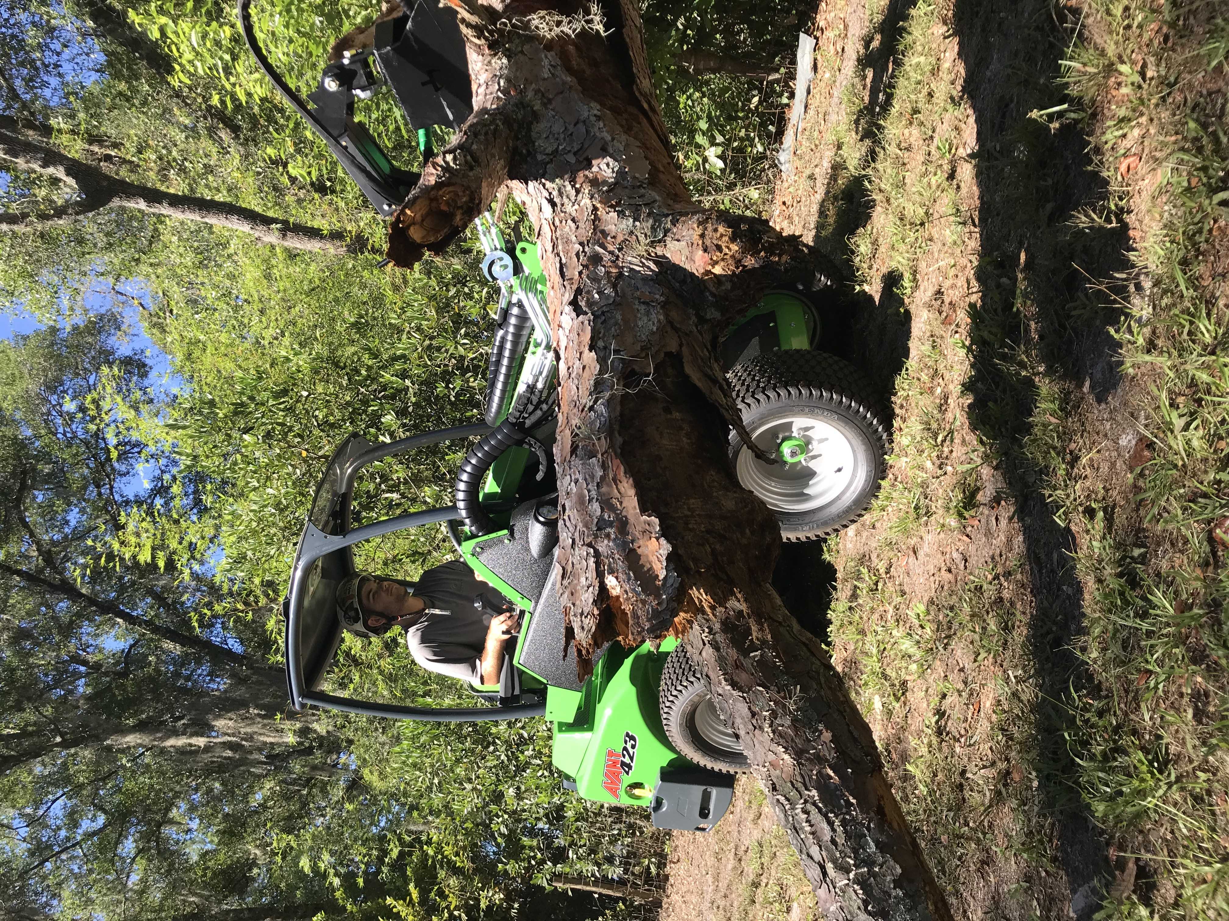 An Avant wheel loader lifting a large section of red pine.