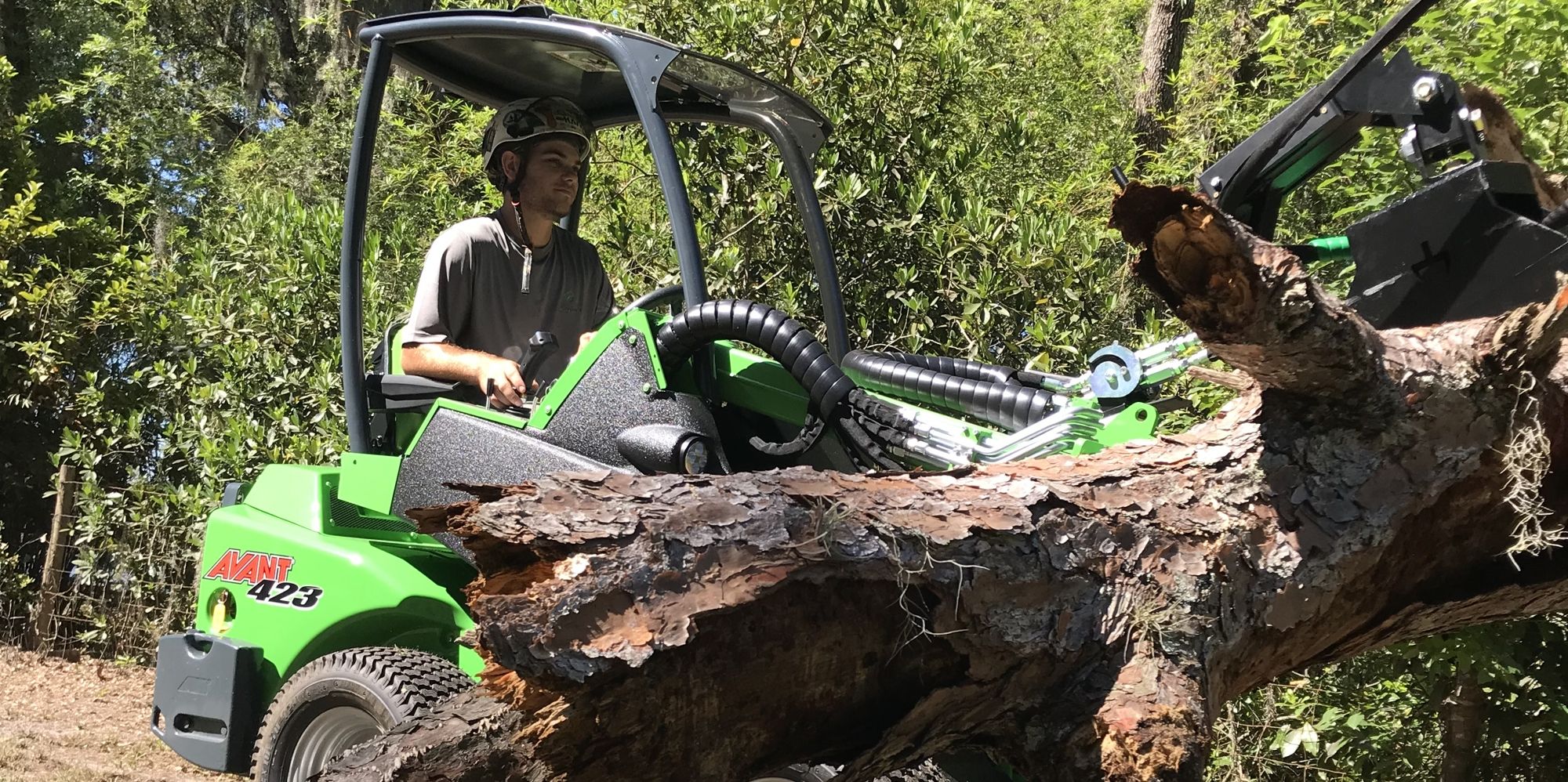 An Avant wheel loader lifting a large section of red pine.