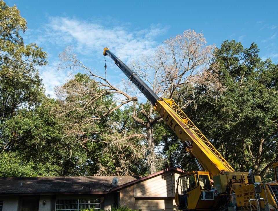 A crane extending over a house lifting a large section of canopy.
