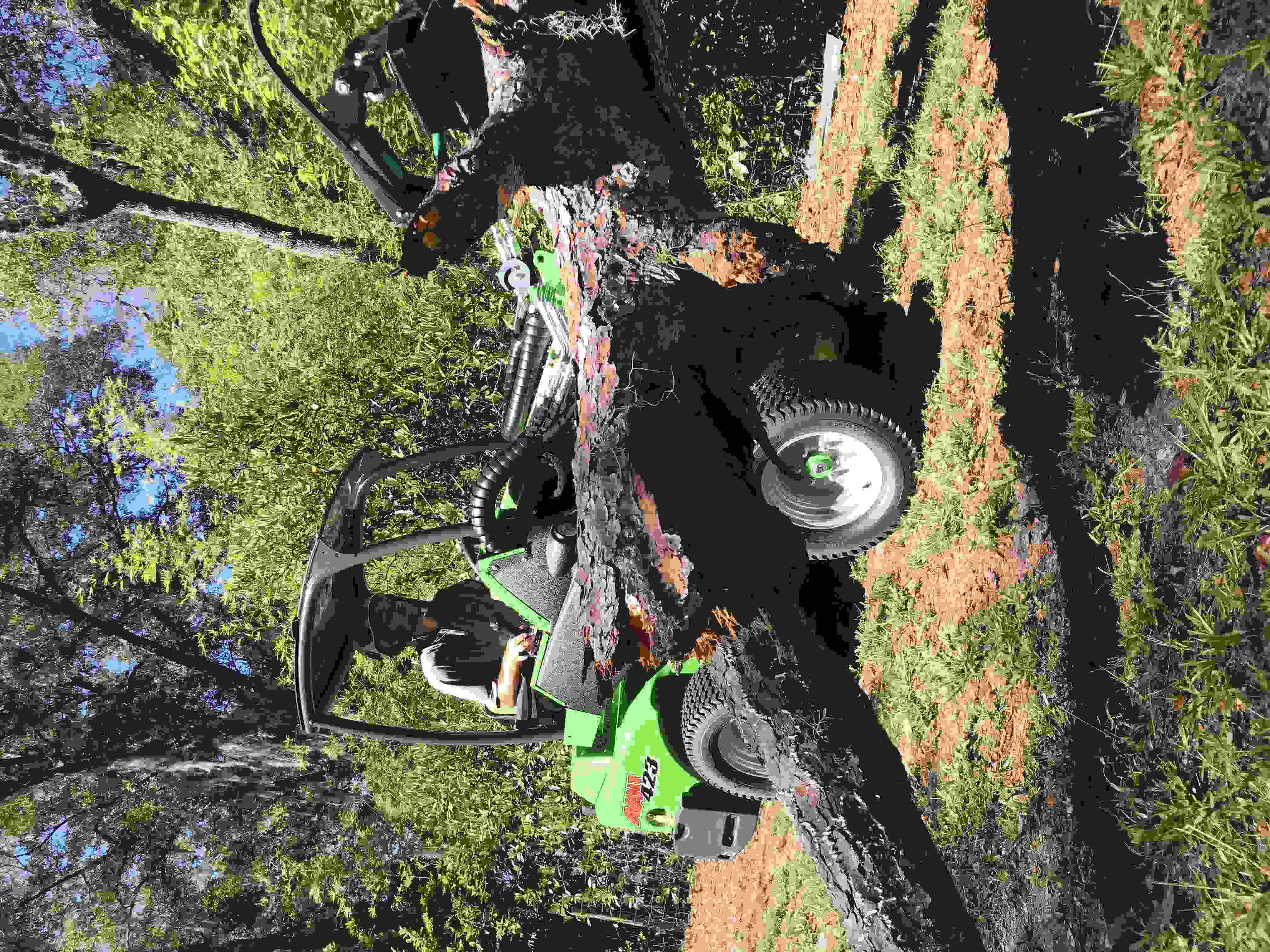 An Avant wheel loader lifting a large section of red pine.